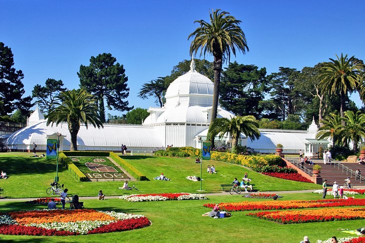 San Francisco has great parks. Shown here is the botantical gardens in golden gate park.